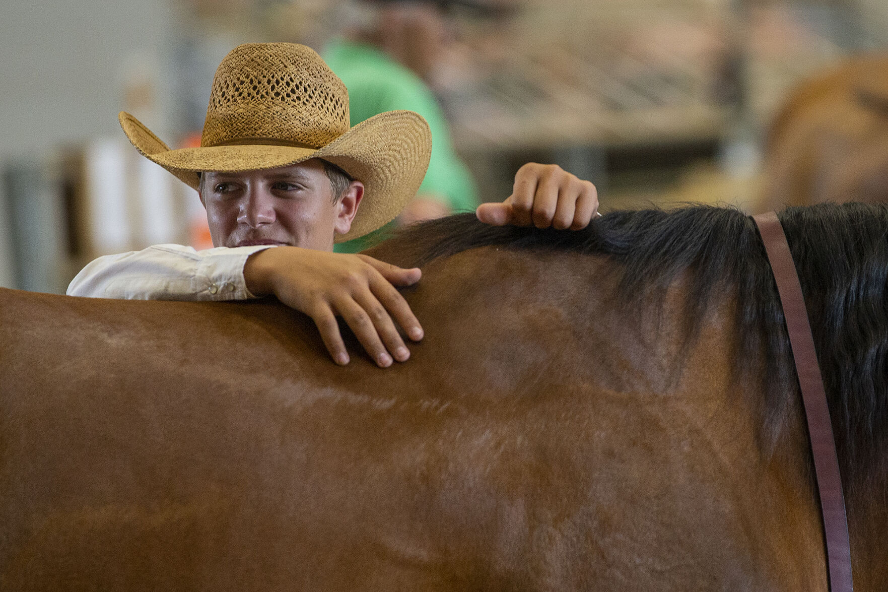 4-H horse show